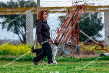 IMG_3896.jpg