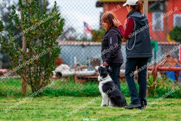 IMG_3903.jpg