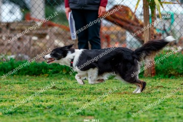 IMG_3911.jpg