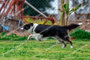 IMG_3921.jpg