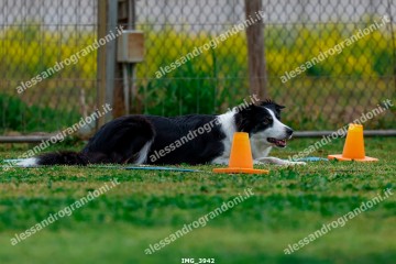 IMG_3942.jpg