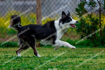 IMG_3980.jpg