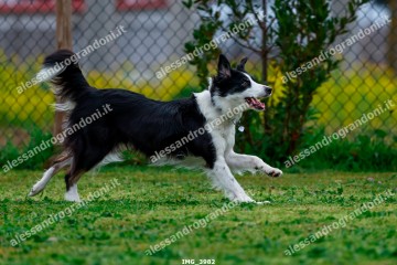 IMG_3982.jpg