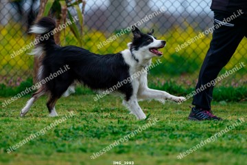 IMG_3993.jpg