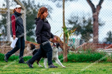 IMG_4004.jpg