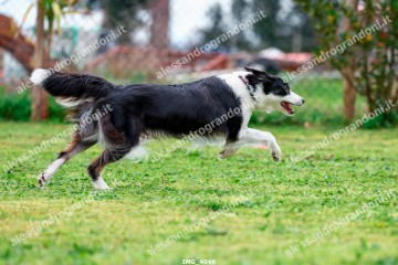 IMG_4049.jpg