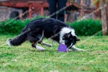 IMG_4059.jpg