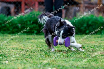 IMG_4066.jpg