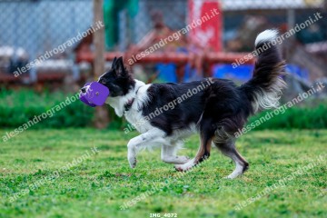 IMG_4072.jpg