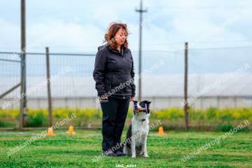 IMG_4091.jpg