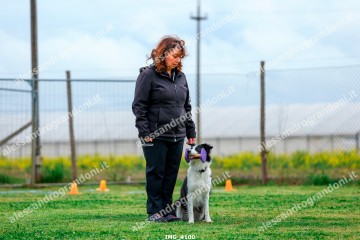 IMG_4100.jpg
