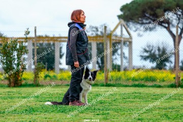 IMG_4110.jpg