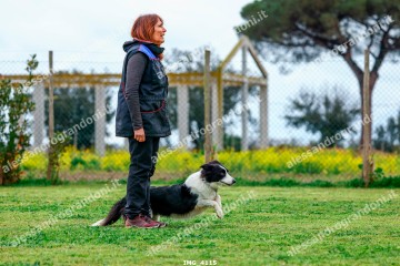 IMG_4115.jpg