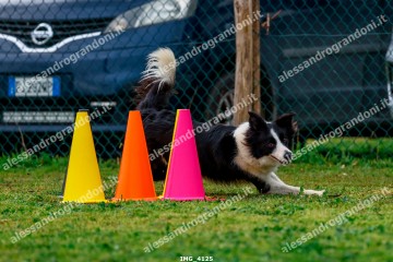 IMG_4125.jpg