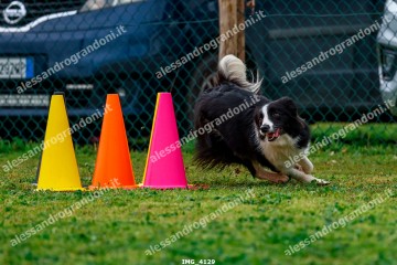 IMG_4129.jpg