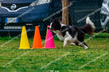 IMG_4133.jpg