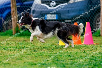 IMG_4143.jpg