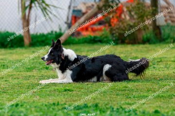 IMG_4147.jpg