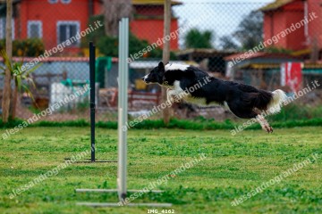 IMG_4162.jpg