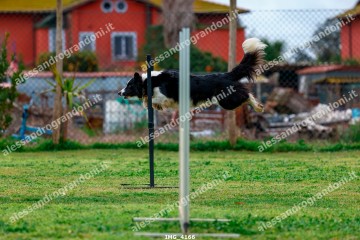 IMG_4166.jpg