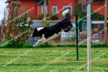 IMG_4171.jpg