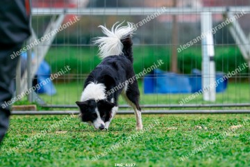 IMG_4197.jpg