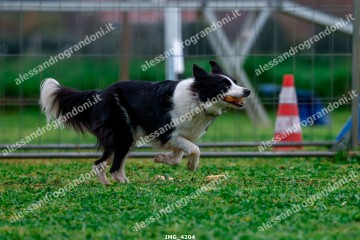 IMG_4204.jpg