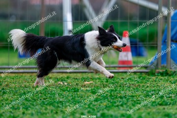 IMG_4206.jpg