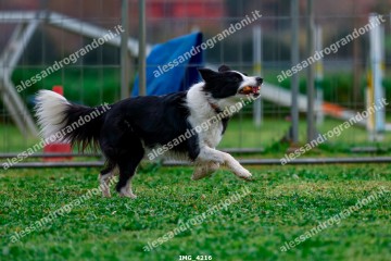 IMG_4216.jpg