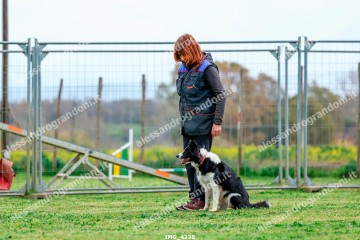 IMG_4238.jpg