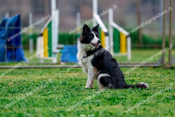 IMG_4253.jpg