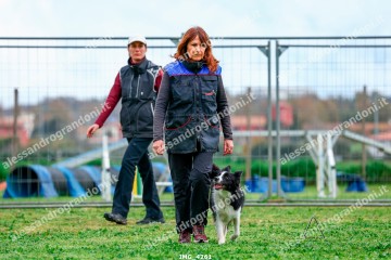 IMG_4261.jpg