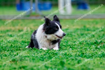 IMG_4271.jpg