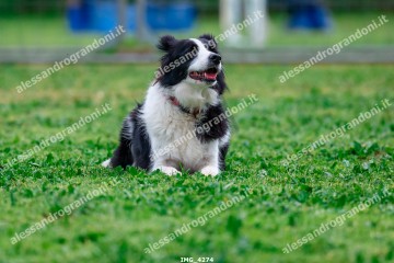 IMG_4274.jpg