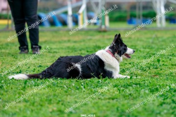 IMG_4311.jpg