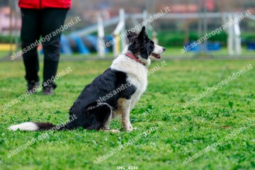 IMG_4330.jpg