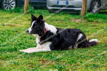IMG_4352.jpg