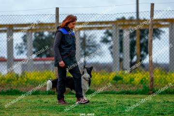 IMG_4405.jpg
