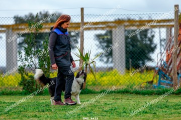 IMG_4423.jpg