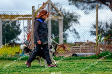IMG_4430.jpg