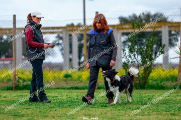 IMG_4448.jpg