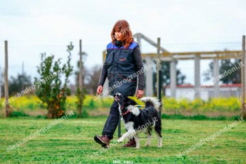 IMG_4462.jpg