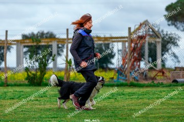 IMG_4471.jpg