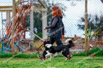 IMG_4499.jpg