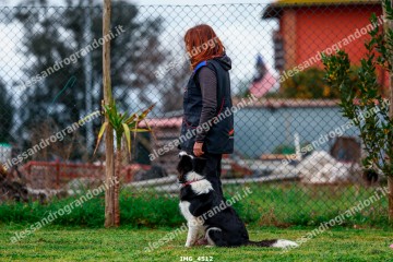 IMG_4512.jpg
