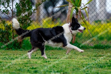 IMG_4564.jpg