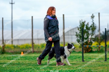 IMG_4587.jpg