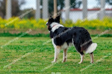IMG_4591.jpg