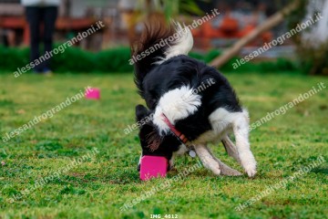 IMG_4612.jpg