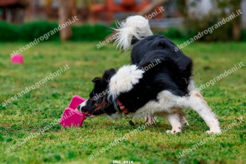 IMG_4616.jpg